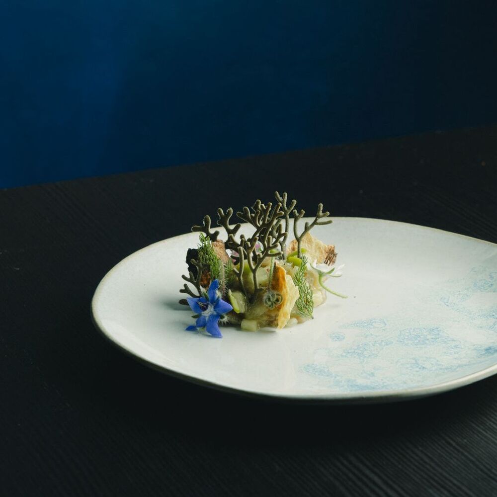 Cultivo restaurant in Heroica Puebla de Zaragoza