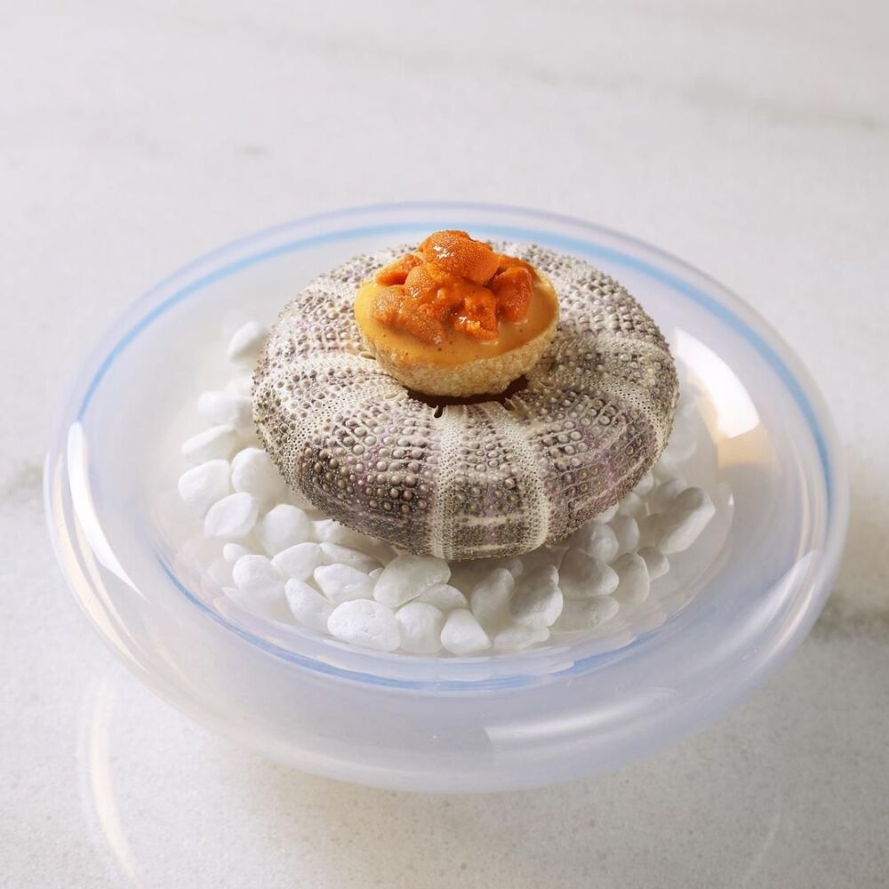 MASHIRO by michelin.com