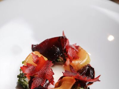 Vibe by Mattia Stanchieri