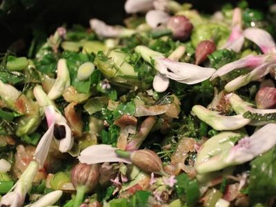 Le Domaine de Saint-Géry