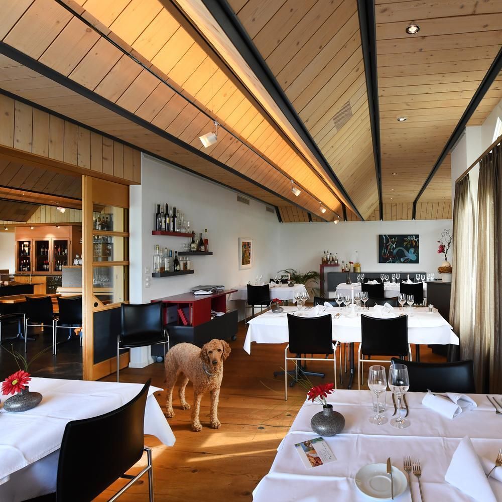 Panorama Education by michelin.com