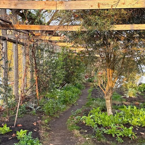 Moment Studio by michelin.com