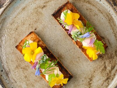 Allium at Askham Hall