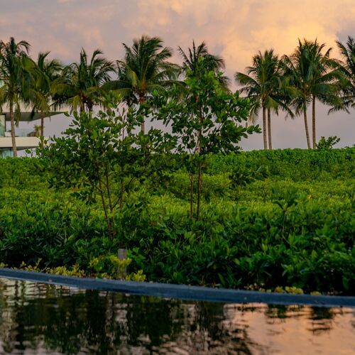 KI'IS Restaurant by Francisco Ruano by michelin.com