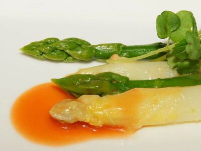 Gehrlein's Hardtwald