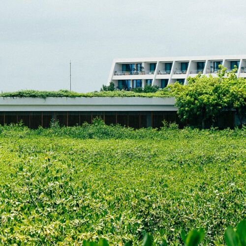 KI'IS Restaurant by Francisco Ruano by michelin.com