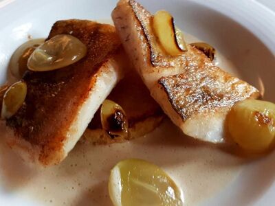 Château de Pleujouse