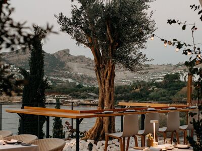 Kitchen By Osman Sezener