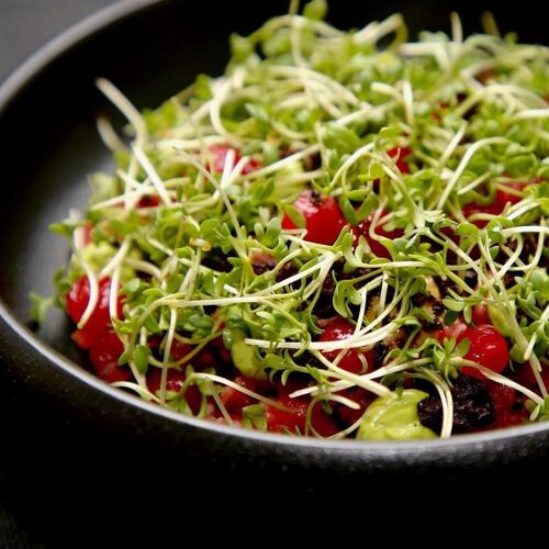Rebel Oslo by michelin.com