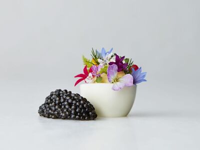 Langdon Hall Country House & Spa