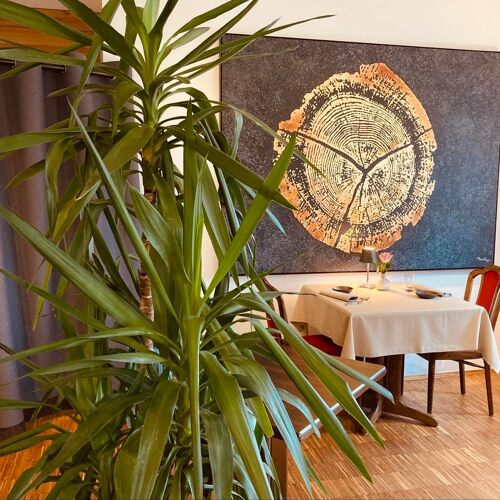 Ratsstube by michelin.com