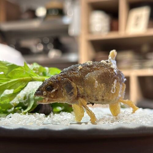 淳和食