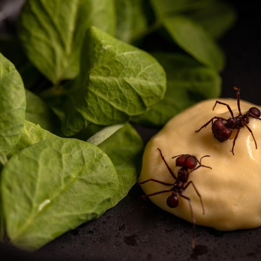 Banzeiro Restaurant - São Paulo by michelin.com