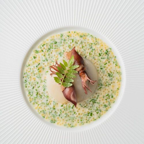Row on 45 by michelin.com