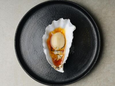 Albatross Death Cult