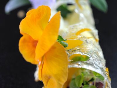 Les Maisons  Rabanel