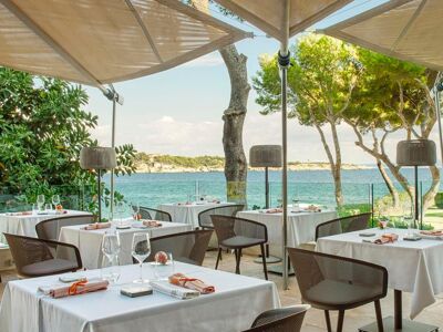 Arrels by Marga Coll