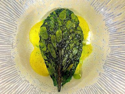 La Table du Marensin