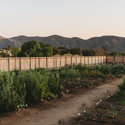 Olivea Farm to Table by michelin.com