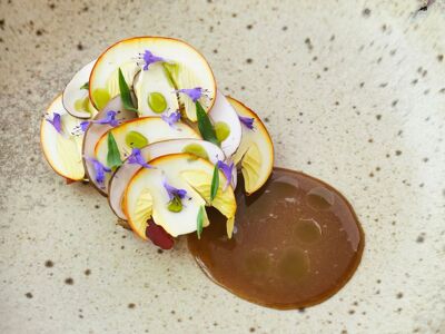 La Rei Natura by Michelangelo Mammoliti