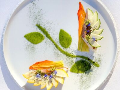 L'Hirondelle - Château de Collias