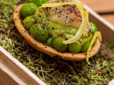 La Dînée du Viguier