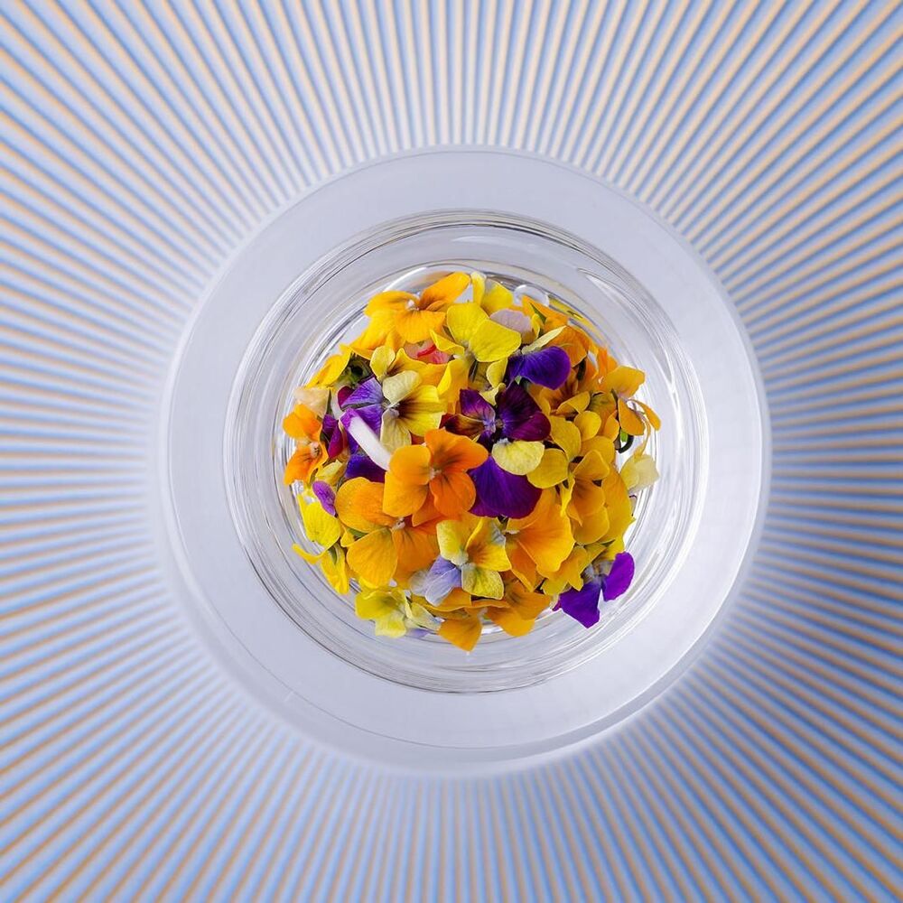 hortensia image 1 - Full view