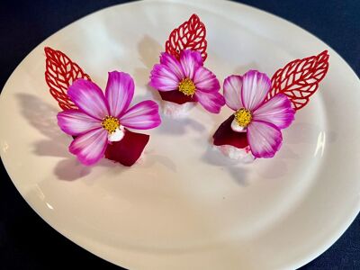 Fields by René Mathieu