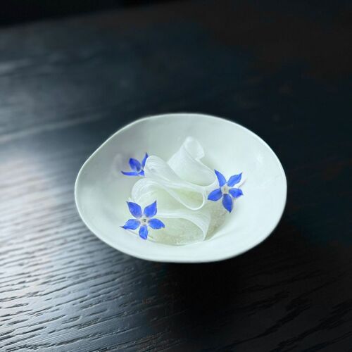 SCAPAR by michelin.com