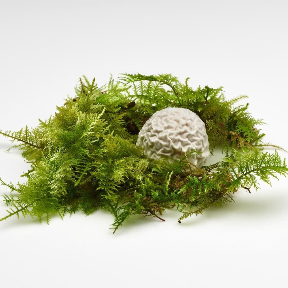 Mugaritz – Errenteria - a MICHELIN Guide Restaurant