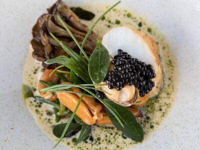 1919 at The Cottage in the Wood