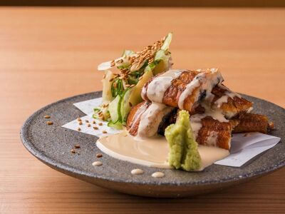 Doshincho Washoku Zui