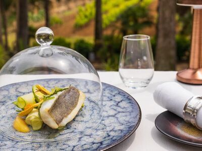 La Palmeraie - Château de Valmer