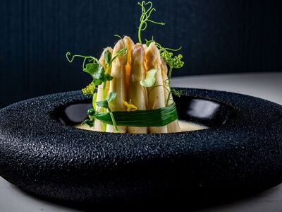 Karizma Modern Indian