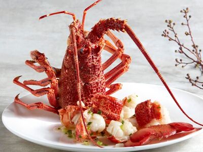 Imperial Treasure Super Peking Duck (Paragon)