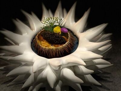 FG - François Geurds