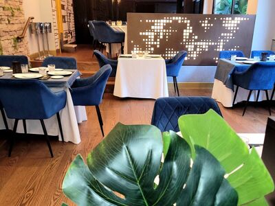 Eximio by Fernando Martín