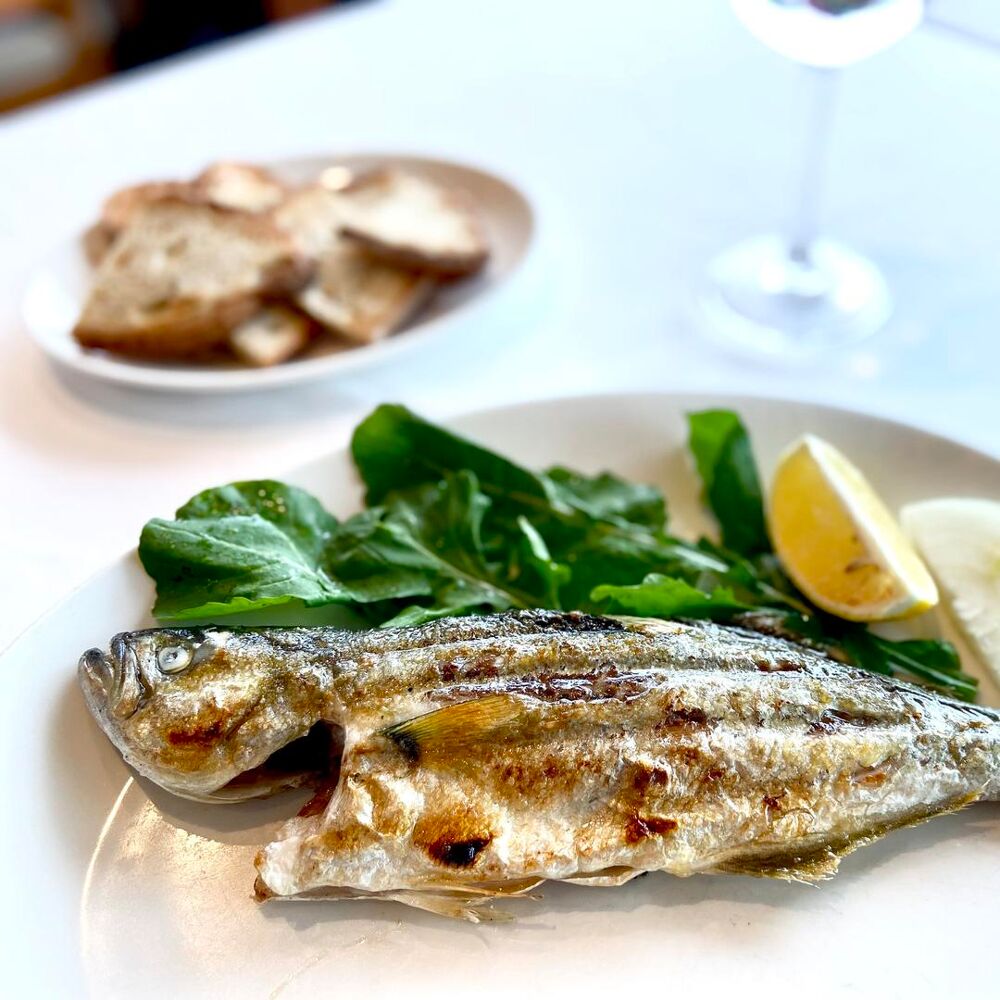 Kıyı // Grilled bluefish of Bosphorus: simple, unvarnished, delicious and flavourful