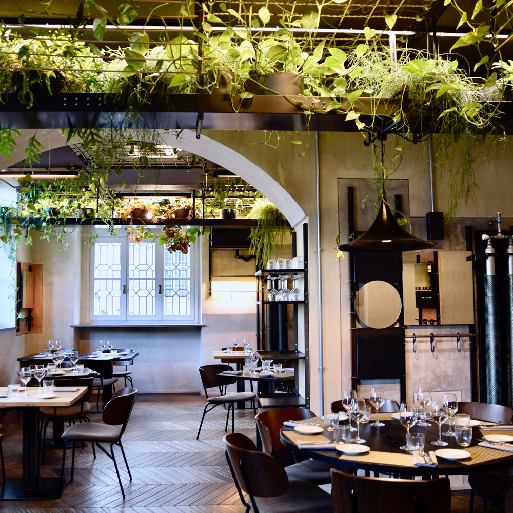 Trattoria Da Turin | Was wird bei der Passkontrolle geprüft? – FFPKG