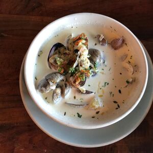 Rustic Southern Oyster Stew 