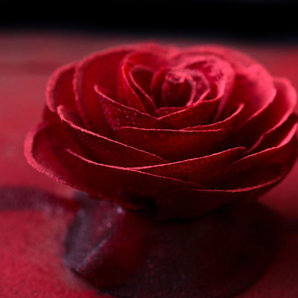 ル・スプートニク Tokyo ミシュランガイドレストラン