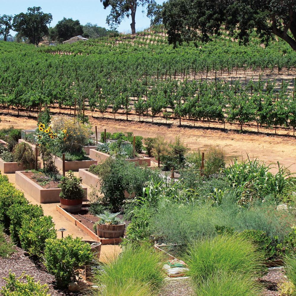 Vineyard garden © JUSTIN Vineyards and Winery/The Restaurant at Justin
