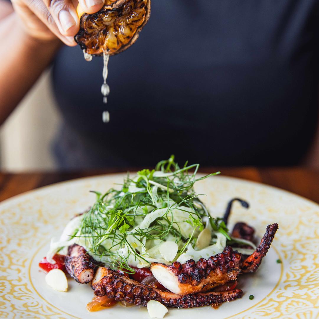 Timpano Tampa a MICHELIN Guide Restaurant