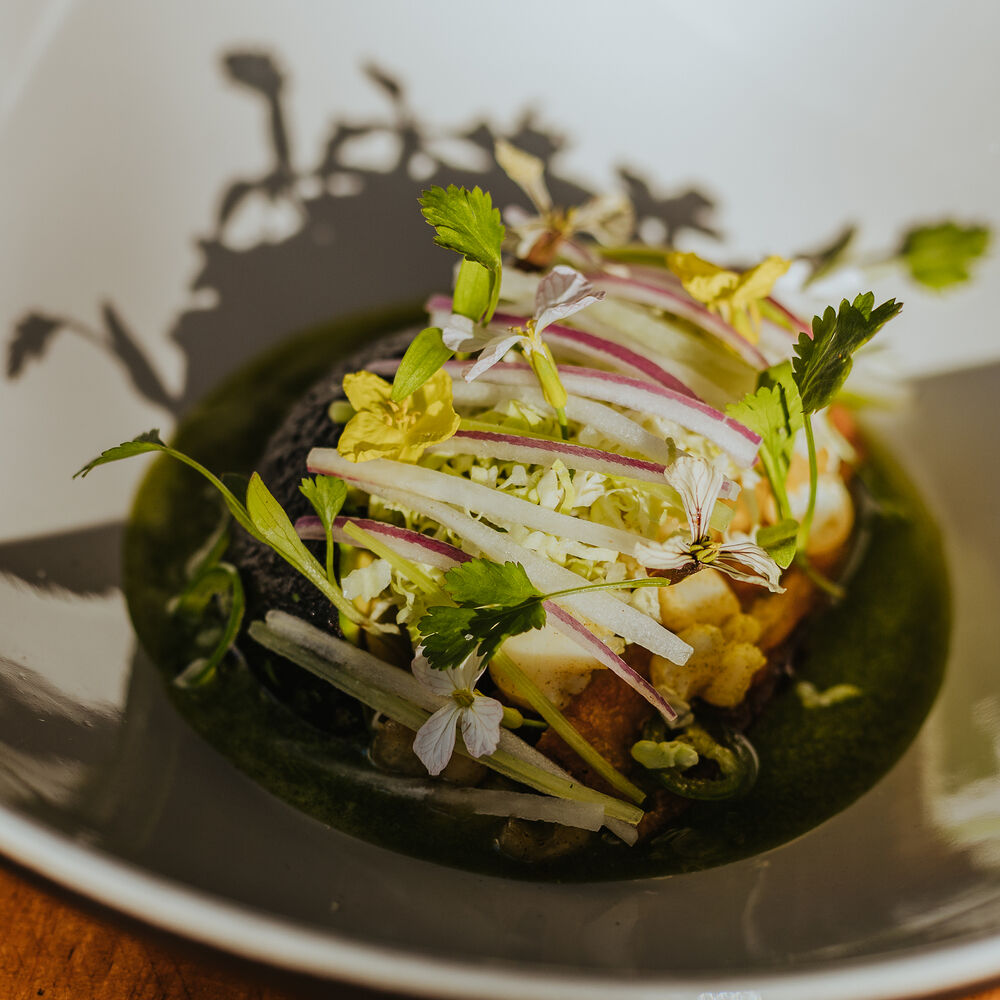 malva-villa-de-ju-rez-a-michelin-guide-restaurant