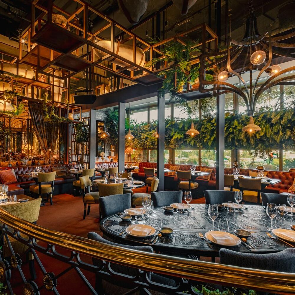 Coya Dubai a MICHELIN Guide Restaurant