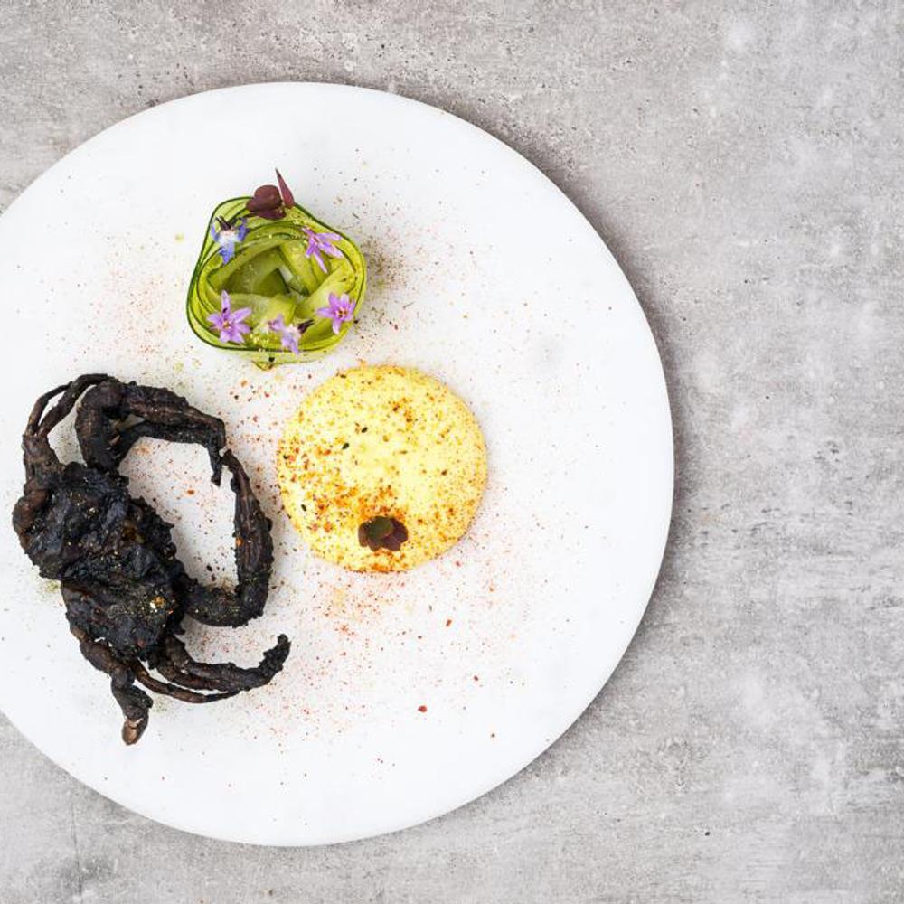 ROOH MICHELIN visual data 2