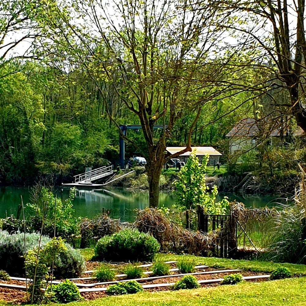 restaurant la tour versailles avis