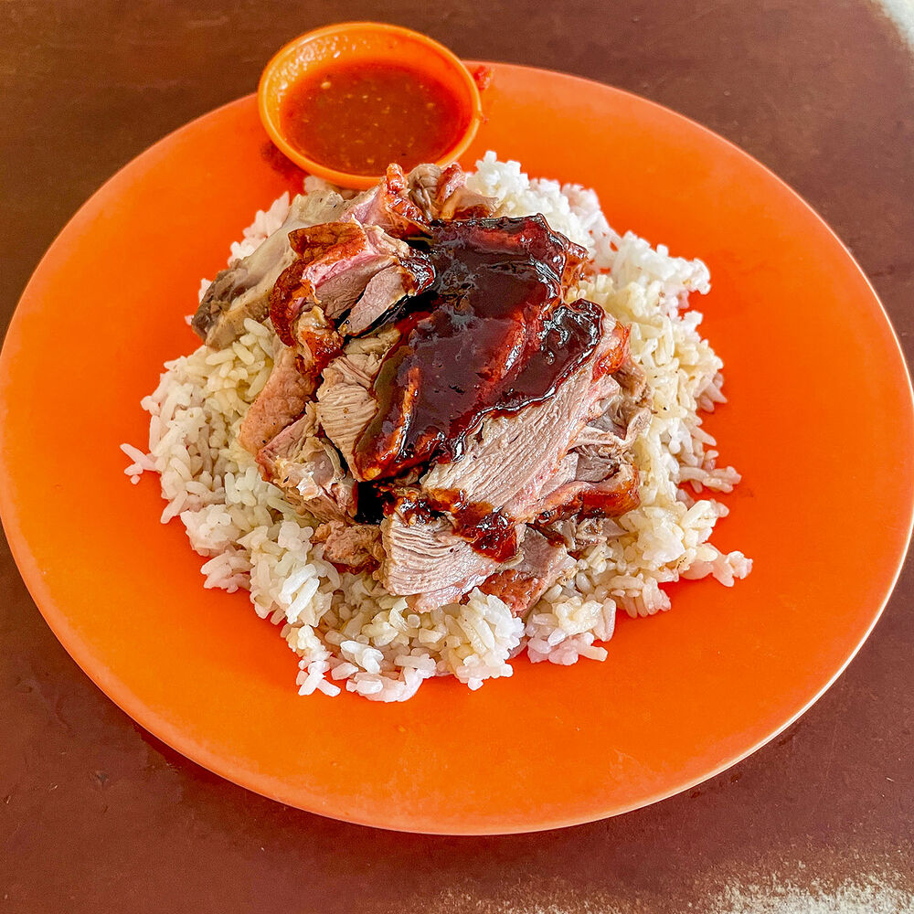 jit-seng-hong-kong-roasted-duck-rice-george-town-a-michelin-guide
