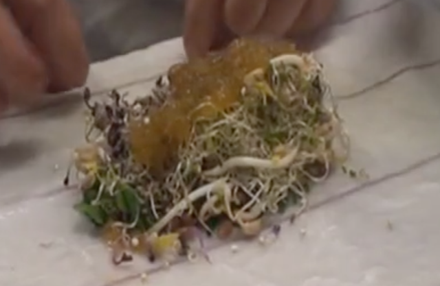 Rouleaux de printemps végétariens