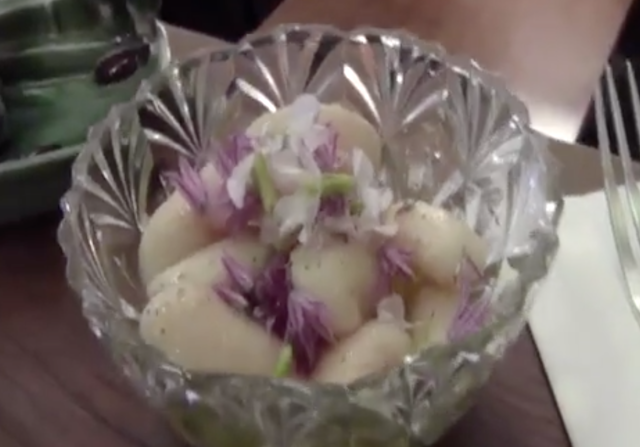 Les gros haricots aux petites fleurs